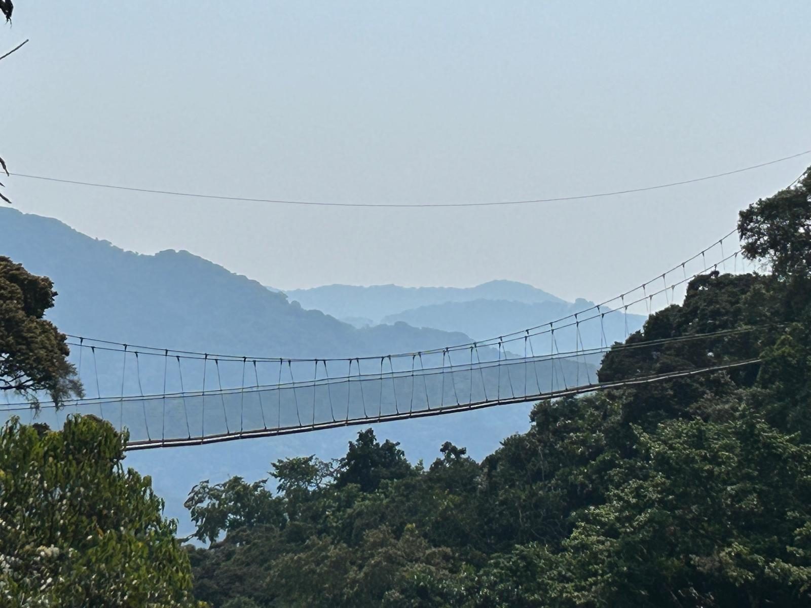 Pont suspendu dans la canopée de la forêt de Nyungwe