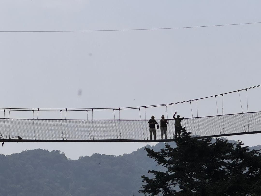 Visiteurs sur le pont suspendu de Nyungwe